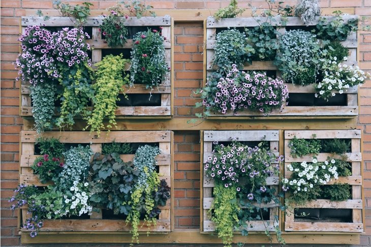 10 Reasons to Embrace Planted Walls
