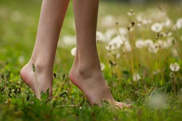 Close up female crossed legs walking on the grass and dandelion. Spring and summer vibes nature.